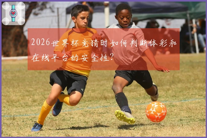 2026世界杯竞猜时如何判断体彩和在线平台的安全性？