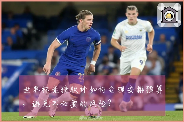 世界杯竞猜软件如何合理安排预算，避免不必要的风险？