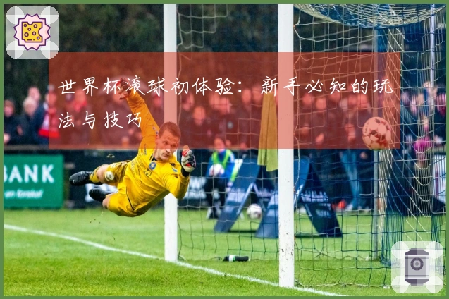 世界杯滚球初体验：新手必知的玩法与技巧